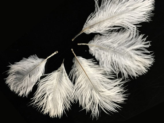 White Goose Coquille Craft Feathers - Mini Pkg