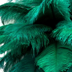 Ostrich Feathers, 10 Pieces - 6-8" Peacock Green Ostrich Dyed Drabs Body Plumage Feathers Craft Supplier : 1377