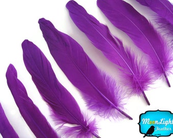 Purple Goose Feathers, 1 Pack - PURPLE Goose Satinettes loose feathers 0.3 oz. : 322