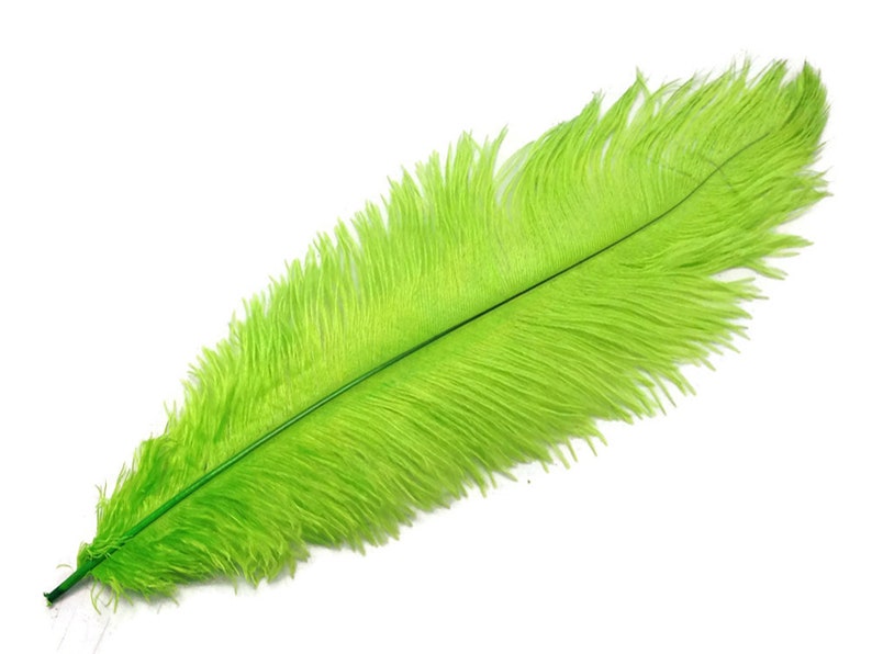 200 Feathers 9-13 Lime Green Ostrich Drab Body Plumage Wholesale Feathers Bulk Carnival Party Centerpiece : 2095-D image 8