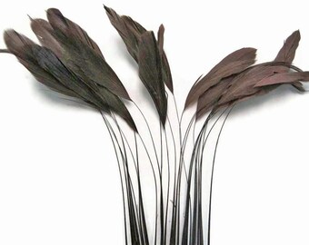 USA SELLER, 1 Dozen - Brown Stripped Rooster Coque Tail Eyelash Feathers Millinery Costume Wedding Derby Craft Supply : 514