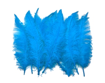 Ostrich Feathers, 10 pieces - 20-28" Turquoise Blue Ostrich Feather Spads Craft Wedding Centerpiece Supply : 3679