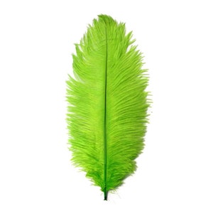 200 Feathers 9-13 Lime Green Ostrich Drab Body Plumage Wholesale Feathers Bulk Carnival Party Centerpiece : 2095-D image 6