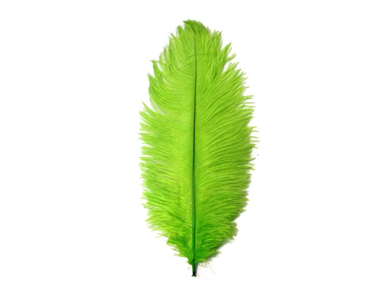 200 Feathers 9-13 Lime Green Ostrich Drab Body Plumage Wholesale Feathers Bulk Carnival Party Centerpiece : 2095-D image 6