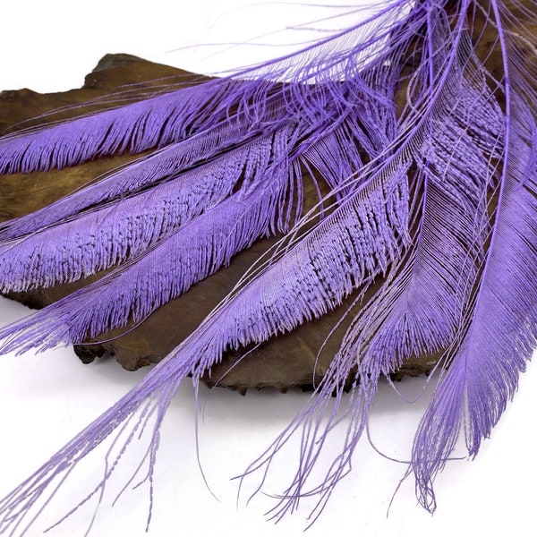 Rare Peacock feathers, 5 Pieces - Lavender Bleached & Dyed Peacock Swords Cut Feathers Craft Supply : 5091