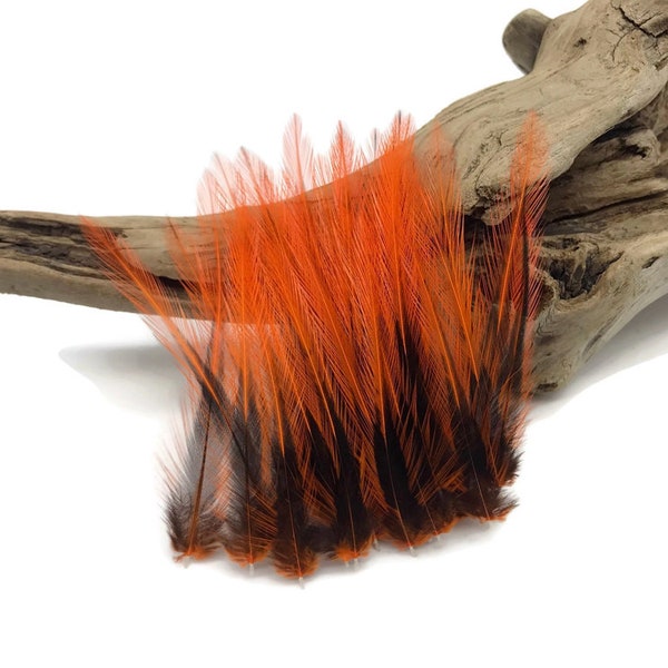 Raindrop Feathers, 10 Pieces - Orange Dyed BLW Laced Short Rooster Cape Whiting Farms Feathers : 2325
