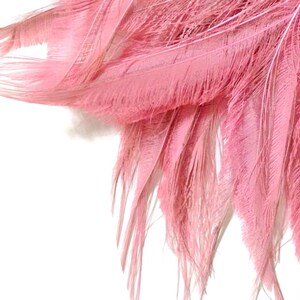 USA SELLER, 5 Pieces - 10-12" Baby Pink Bleached & Dyed Peacock Swords Cut Feathers Wedding Boho Fly Tying Decor Supply : 3563 image 3