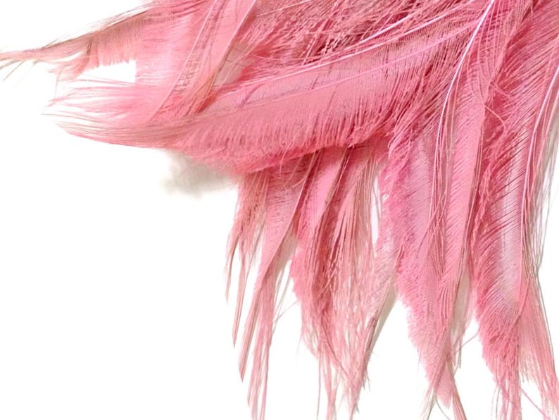 USA SELLER, 5 Pieces - 10-12" Baby Pink Bleached & Dyed Peacock Swords Cut Feathers Wedding Boho Fly Tying Decor Supply : 3563 image 3