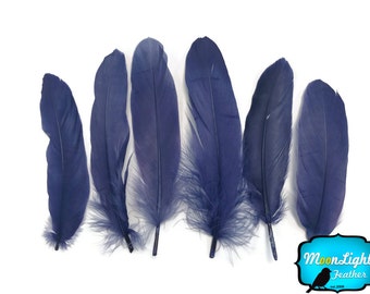 Goose Feathers, 1 Pack - NAVY BLUE Goose Satinettes Loose feathers 0.3 oz. : 3337