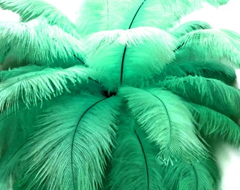 USA Feathers, 10 Pieces - 6-8" Aqua Green Ostrich Dyed Drabs Body Plumage Feathers Craft Supplier : 1364