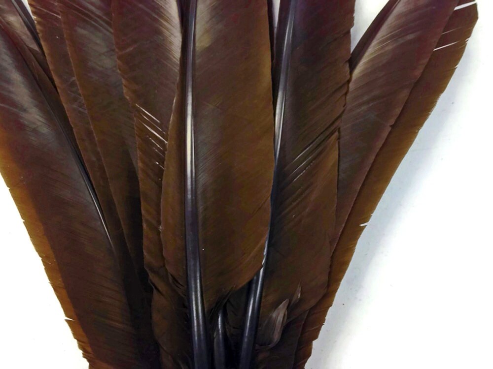 Camel Dyed Turkey Feathers, Pkg of 4, Camel Feathers, Large Feathers,  Colored Feathers 