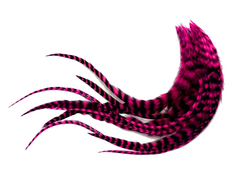 Pink Feathers, 1 Dozen Medium Hot Pink Grizzly Rooster Saddle Whiting Hair Extension Feathers Craft Supply : 525 image 1