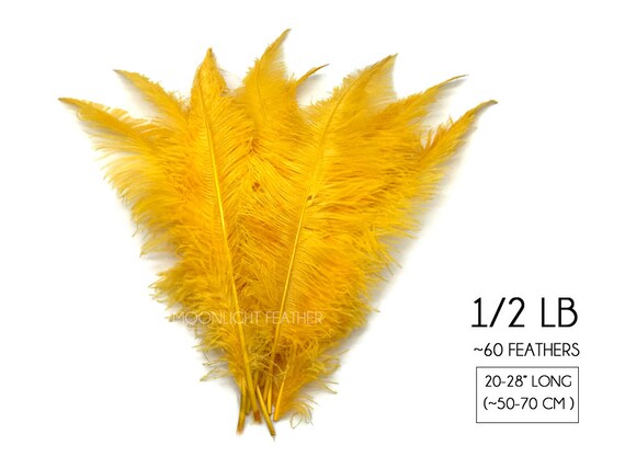 1/2 lb 14-17 Yellow Ostrich Feathers