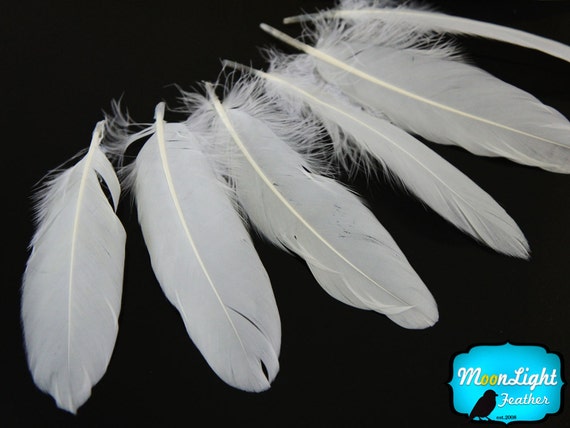 White 20pcs Rooster Coque Tail Feathers for Crafting, Decoration, Weddng,  Millinery Supply, Fly Tying, DIY Feather Decoration
