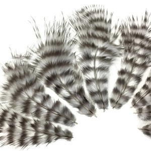 Small Feathers, 1 Dozen Natural Grizzly Rooster Chickabou Whiting Farm Superbou Fluff Feathers : 641 image 3