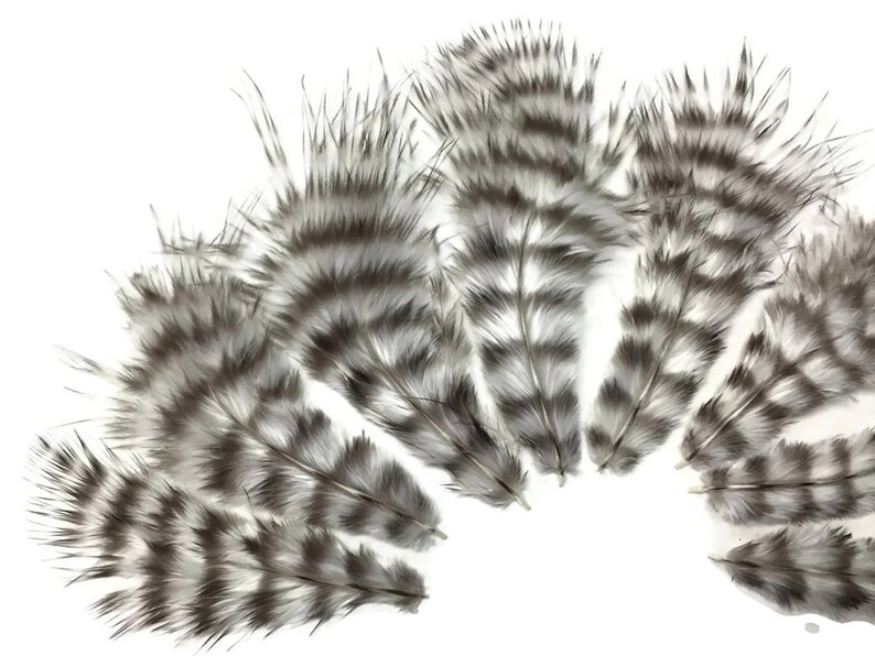 Small Feathers, 1 Dozen Natural Grizzly Rooster Chickabou Whiting Farm Superbou Fluff Feathers : 641 image 3