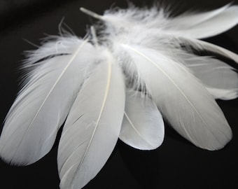 White Goose Feathers, 1 Pack WHITE Goose Satinettes Loose Feathers