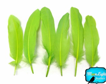 Green Feathers, 1 Pack - Lime Green Goose Satinettes loose feathers 0.3 oz. : 155