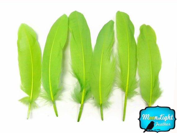 Lime Green Feathers