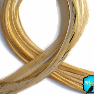 Real Feathers, 10 Pieces - LIGHT Honey Ginger Thin Long Rooster Hair Extension Feathers : 287