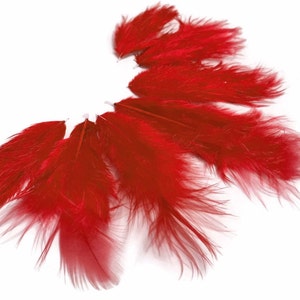 May include: A bunch of bright red feathers, ideal for crafting or decorating.