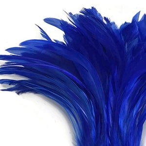 May include: A bunch of bright blue feathers. The feathers are soft and fluffy, and they would be perfect for crafting or decorating.