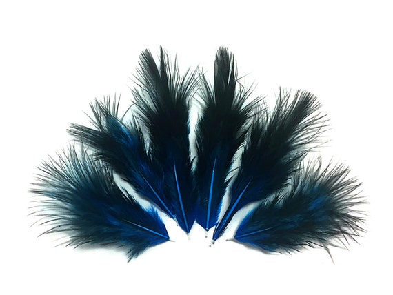 1 Dozen Turquoise Blue Grizzly Rooster Chickabou Fluff Feathers USA SELLER