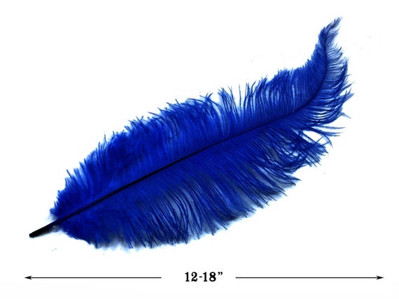 Blue Feathers, 20 Pieces 12-18 Royal Blue Mini Ostrich Spads Chick