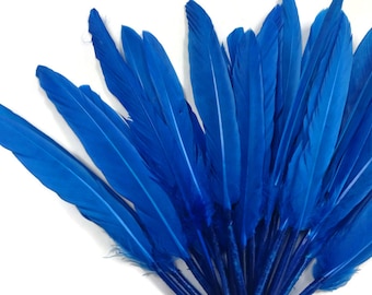 USA SELLER, 500 Pieces - Turquoise Blue Duck Cochettes Wholesale Loose Feathers (Bulk) Wings Costume Craft Supply : 144
