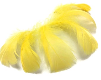 Goose Feathers, 1 Pack - 2-3" Yellow Goose Coquille Loose Feathers - 0.35 Oz. Halloween Wedding Craft Supplies : 4162