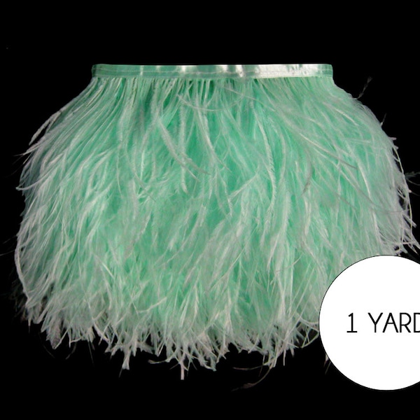 Aqua Ostrich Fringe, 1 Yard - Mint Green Ostrich Fringe Trim Wholesale Feather (Bulk) : 2247