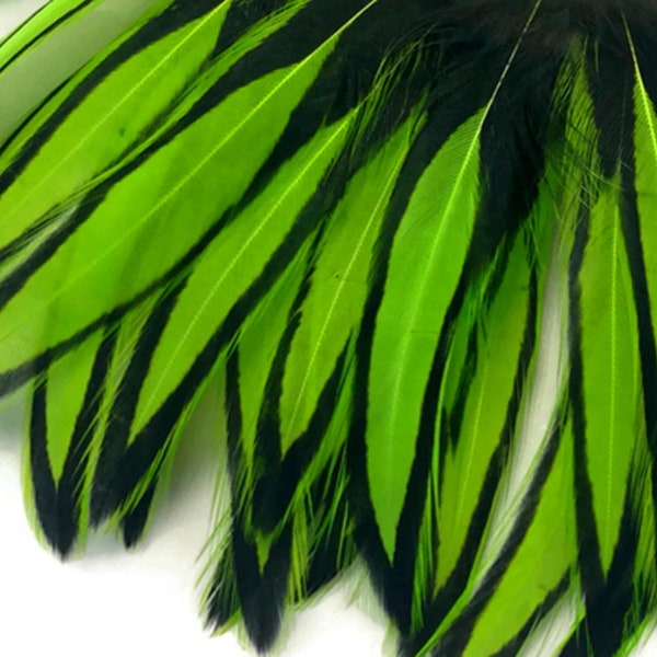 Laced Hen Feathers, 1 Dozen - Lime Green BLW Whiting Laced Hen Cape Loose Feather Fly Tying Fishing Party Supply: 3436