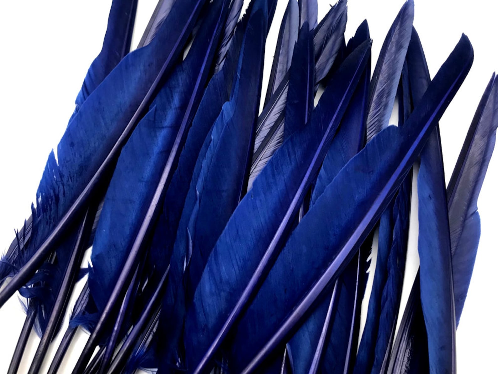 Wing Feathers 1/4 Lb. Navy Blue Goose Pointers Long Etsy