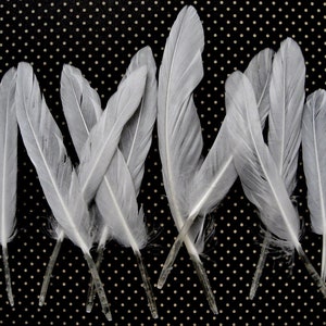 White Duck Feathers, 1 Pack Natural White Duck Cochettes Loose Feathers 0.30 oz. Craft Supply : 448 image 2