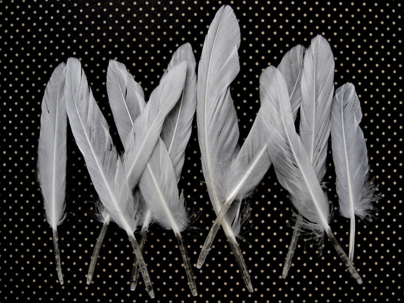 White Duck Feathers, 1 Pack Natural White Duck Cochettes Loose Feathers 0.30 oz. Craft Supply : 448 image 2