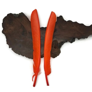 Kalkoenveren, 6 stuks - Oranje kalkoenaanwijzers Primaire vleugel ganzenveer grote veren Halloweenkostuum Cosplay: 3286