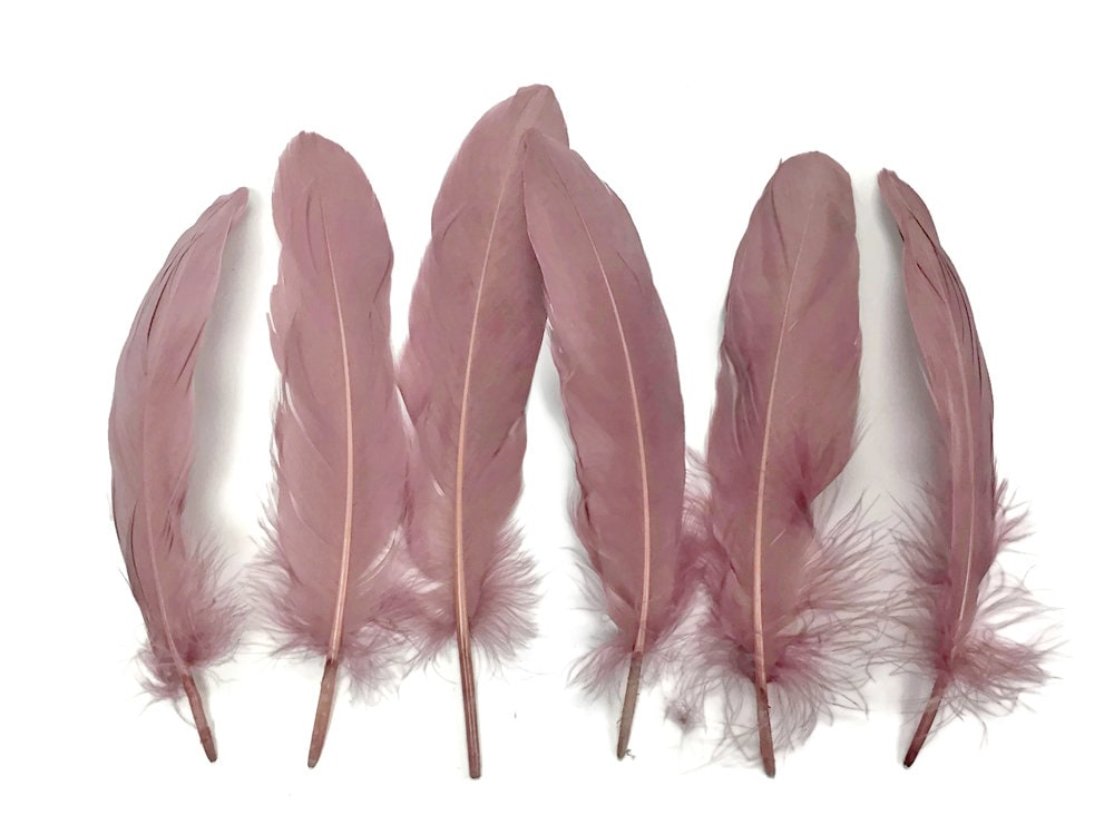 Goose Feathers, 1 Pack - Taupe Goose Pallet Parried Soft Wing Quill Feathers 0.3 Oz. : 3689