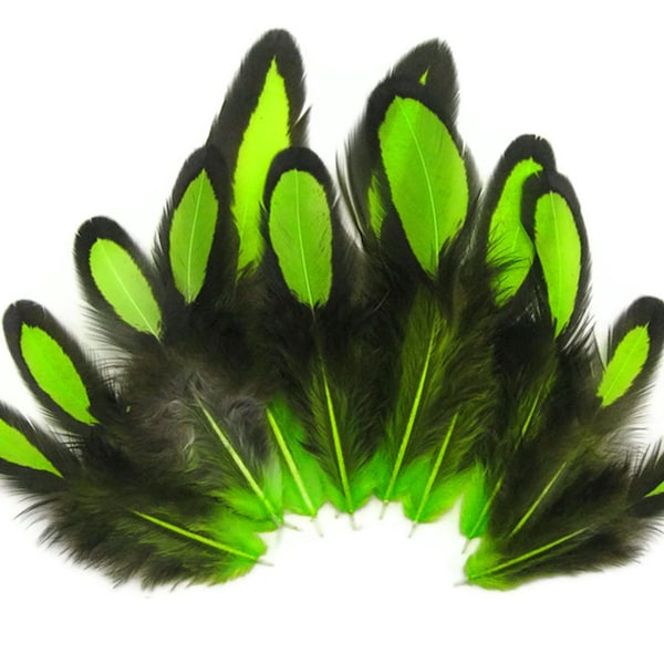 Laced Feathers, 1 Dozen - Lime Green Whiting Farms Laced Hen BLW Saddle Feathers Craft Fly Tying Supply : 378