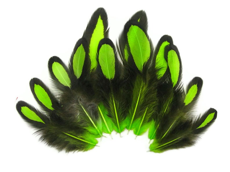 Laced Feathers, 1 Dozen Lime Green Whiting Farms Laced Hen BLW Saddle Feathers Craft Fly Tying Supply : 378 image 1