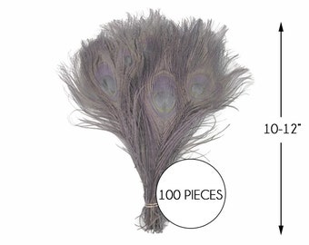 Silver Gray Peacock Tail Feathers, Bleached & Dyed, 10-12 Inch (100 Pieces)