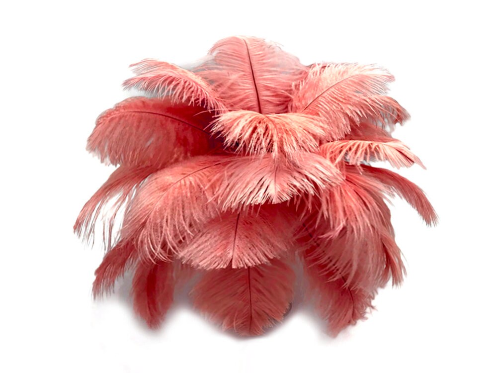 Ostrich Feathers - Plumes - Dusty Rose Drabs - 10 Pcs. - (8-10 x 3-5 W)