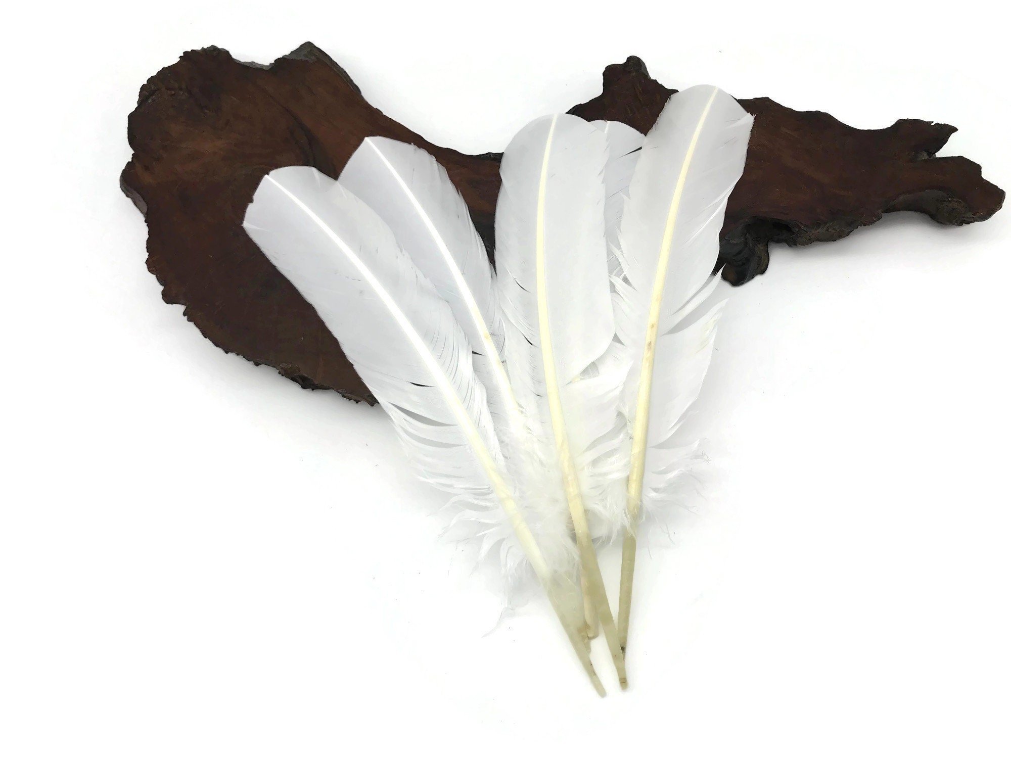 Small & Large White Craft Feathers for Sale