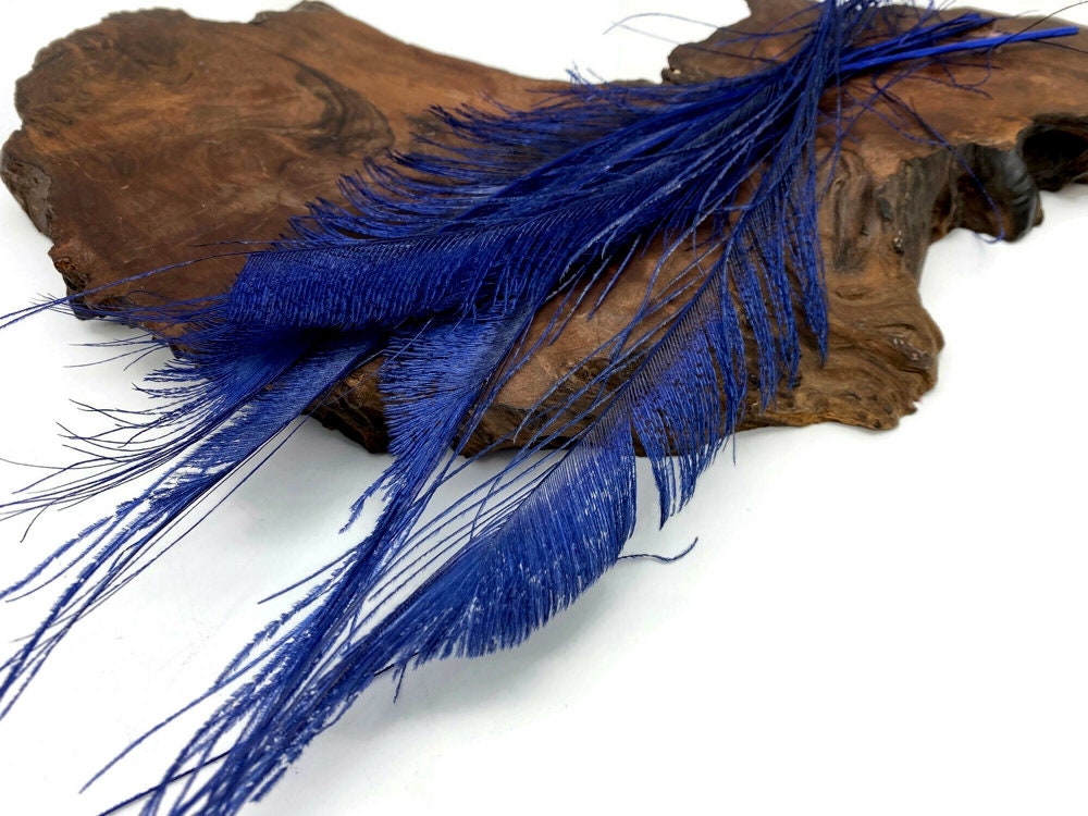 Rare Long Peacock Feathers, 5 Pieces - Navy Blue Bleached & Dyed Peacock Swords Cut Feathers Craft Supply : 5093
