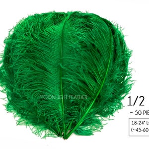 Plumas para centro de mesa de boda, 1/2 libra. - Plumas de ala de avestruz grandes, color verde Kelly, de 18 a 24 pulgadas. Venta al por mayor (a granel): 2917