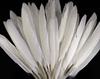 Duck Feathers, 500 Pieces - Natural White Duck Cochettes Wholesale Loose Feathers (Bulk) Craft Supply : 2211