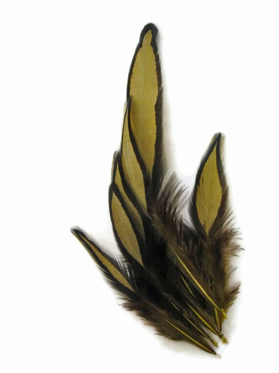 Olive Green Whiting Farms Laced Hen Saddle Feathers Fly Tying Craft 1 Dozen Olive Green Whiting Farms Laced Hen Saddle Feathers Fly Tying Craft 1 Dozen