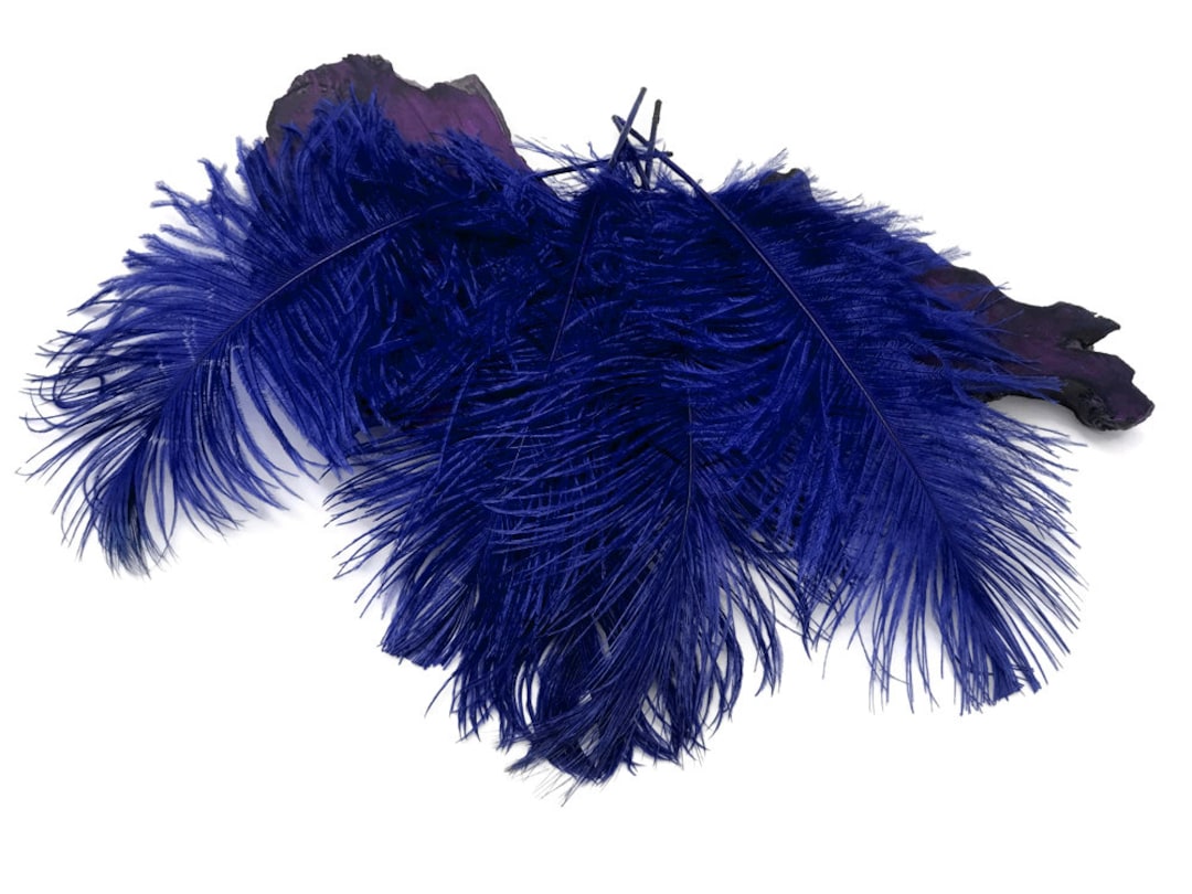 Ostrich Feathers 10 Pieces 12-16 Royal Blue Dyed - Etsy