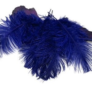 Plumes d'autruche, 10 pièces - 12-16" Royal Blue Dyed Autruche Fancy Feathers Centerpiece Craft Fournisseur : 3508
