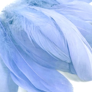 May include: A bunch of soft, light blue feathers. The feathers are arranged in a fan shape, with the tips of the feathers pointing towards the right side of the image.