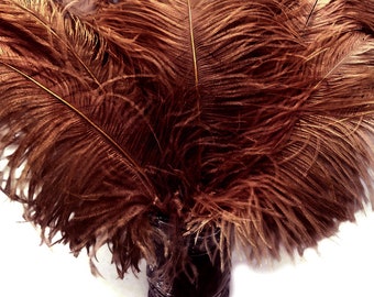 Large Wedding Feathers, 10 Pieces - 18-24" Brown Large Prime Grade Ostrich Wing Plume Centerpiece Feathers : 3987